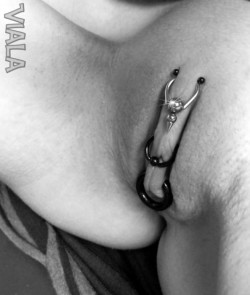 pussymodsgalorePhotoset showing various pussy piercings and adornment with piercing jewelry.