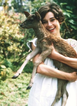 Audrey Hepburn with her pet deer, Ip.