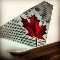 thenitmightbeforthebest:  AIR CANADA FLIGHT SO EFFING LONG! 