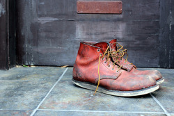 redwingshoestoreamsterdam:  sirandmadame:  Well worn…time approves  |  Red Wing 8166 Round Toe Boot.  Purchased from Sir &amp; Madame one year ago.  BEAUTIFUL!
