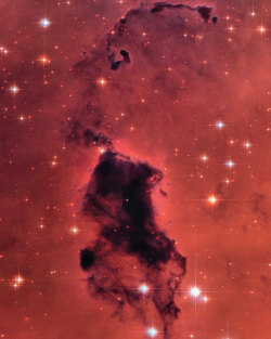 ikenbot:  Bok Globules Bok globules are small interstellar clouds of very cold gas and dust that are so thick they are nearly totally opaque to visible light, although they can be studied with infrared and radio techniques. They were originally discovered