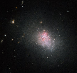 ikenbot:  Dwarf Galaxy Churns out New Stars in Hubble Photo A stunning new image from NASA’s Hubble Space Telescope shows countless stars being born in a nearby dwarf galaxy. The Hubble photo depicts the faint irregular galaxy NGC 3738, which is located