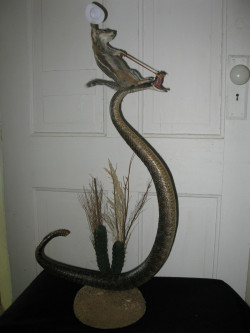 veird:  notmyvirginears:  bad taxidermy  i think you mean EXCELLENT taxidermy 