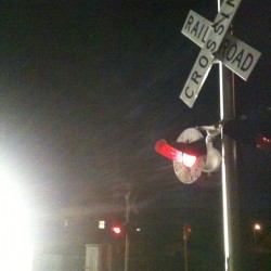 Dare to cross #dare #railroad #crossing #capecod #capecodcanal #lights
