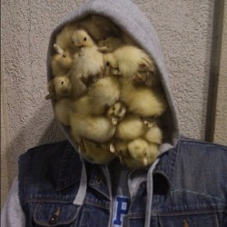 the-tavros-nitram:  sasssprinkles:  theepichumor:  #Duck face #duck #face #hoodie #jacket #atom #molecules #P #blue #blue P  HOW ARE YOU HOLDING THEM ALL IN THERE?  Duck tape  That last comment, im dying! 