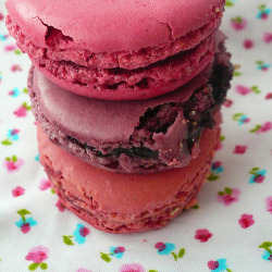 calorie-gallery:  Follow me for more HD picture of your fav. food ! :)