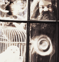 ravenclawboys:  Hedwig’s death represents the loss of innocence and security. -JK Rowling. 