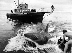 thegoodfilms:  Jaws | 1975 