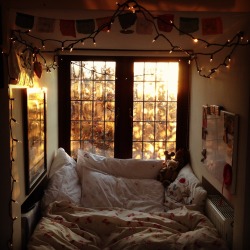1day-iwillbe:  Where can I get cheap lights like this for my room? As well as a cheep comforter?