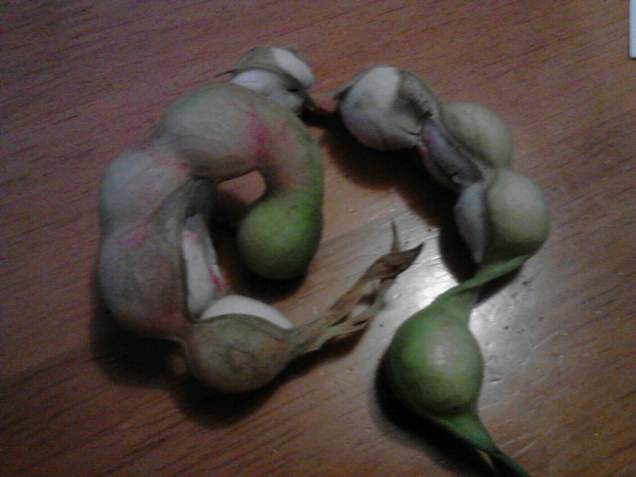 Estos son Guamuchiles a rare fruit of mexico ;) my ...
 Guamuchiles