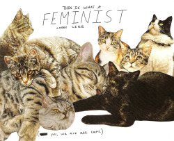 I thought the feminist was buried beneath the cats because, you know, that is actually a very plausible scenarion.