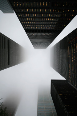 creaturesgold:  Bank Towers in the Fog and Rain, Toronto (by Tony Lea) 
