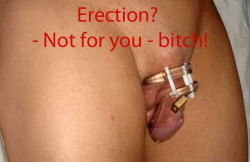 sissy-cuck:  Erection? - Not for you - bitch! 