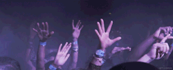 piercethedispute:  free-l0ve:  radkes-raddict:  crrrash:  best feeling ever  That part of any song at that concert. With all the little power you have after moshing, you pump your arm up with your hands open. Like this. I do this every time when the music