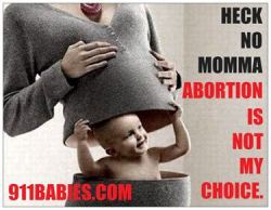 sunshineuncertaintyprinciple:  antichoicescreencraps:  An anti-choice graphic.  I always enjoy when anti-choicers produce propaganda that shows how they really feel about women*: they view us as inanimate, inhuman vessels. We don’t even incubate, because