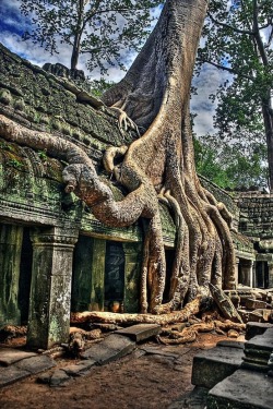 aroundtheworldinsomanydays:  Angkor Wat, Cambodia 