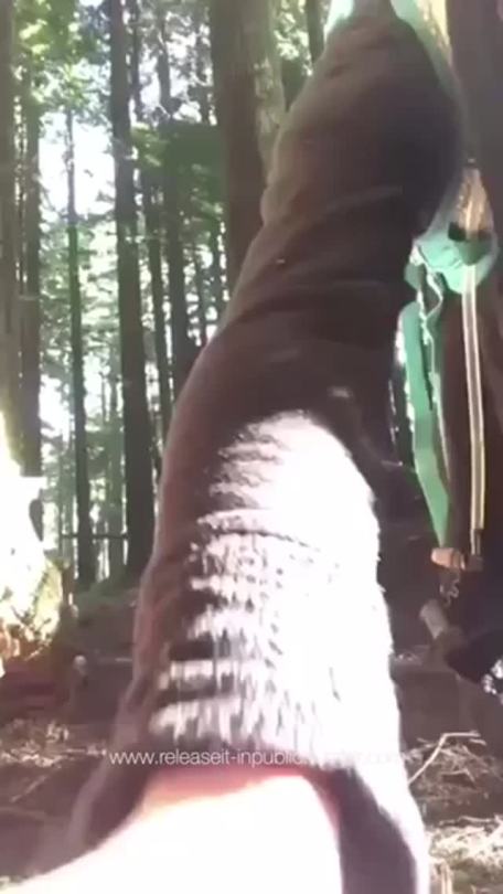 releaseit-inpublic:  Peeing in the woods, Upload from my collection, Follow the best pee blog for the best pee videos, 